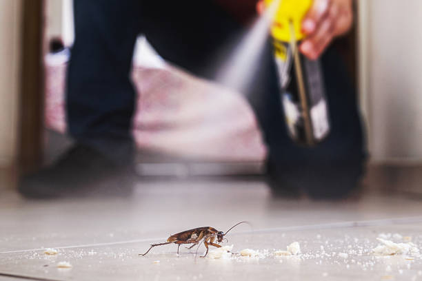 Professional Pest Control in Northumberland, PA